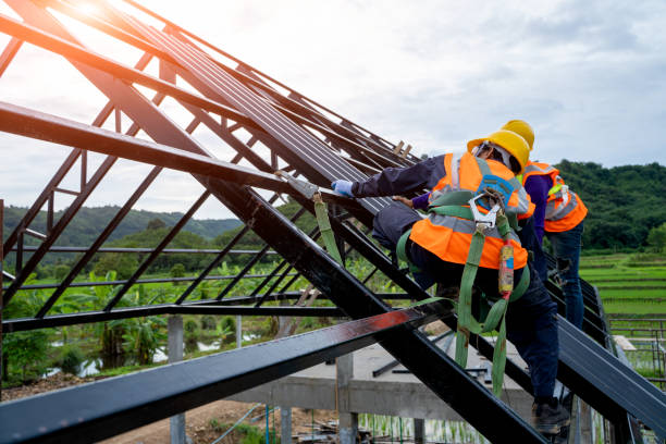 Best Roof Maintenance Services  in Burton, MI