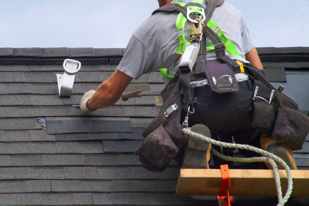 Best Roof Gutter Cleaning  in Burton, MI