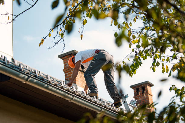 Sealant for Roof in Burton, MI