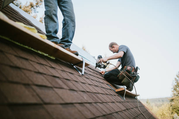 Best Residential Roofing Contractor  in Burton, MI