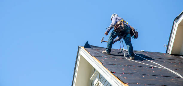 Best Storm Damage Roof Repair  in Burton, MI